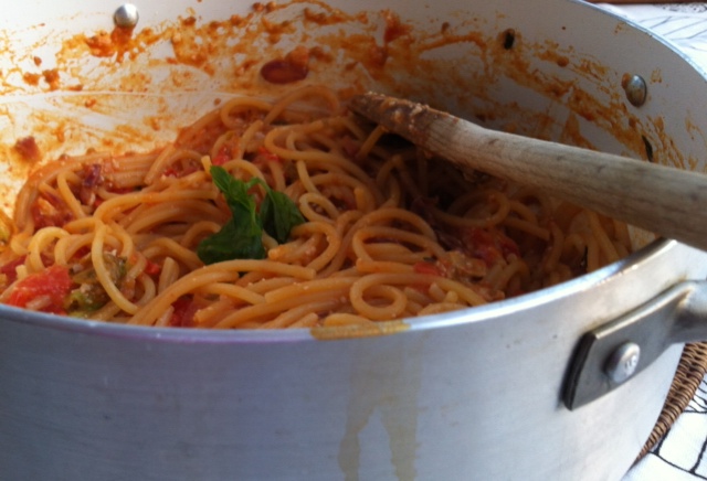 rich sauces for pasta Michi & Fabri