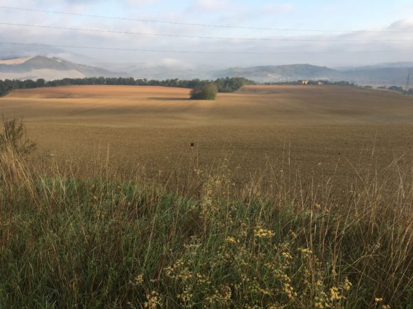 tuscan landscape