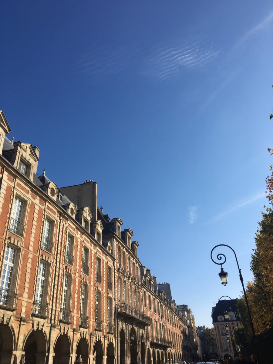 parisian beauty