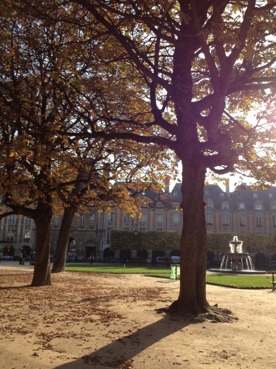 place des vosges