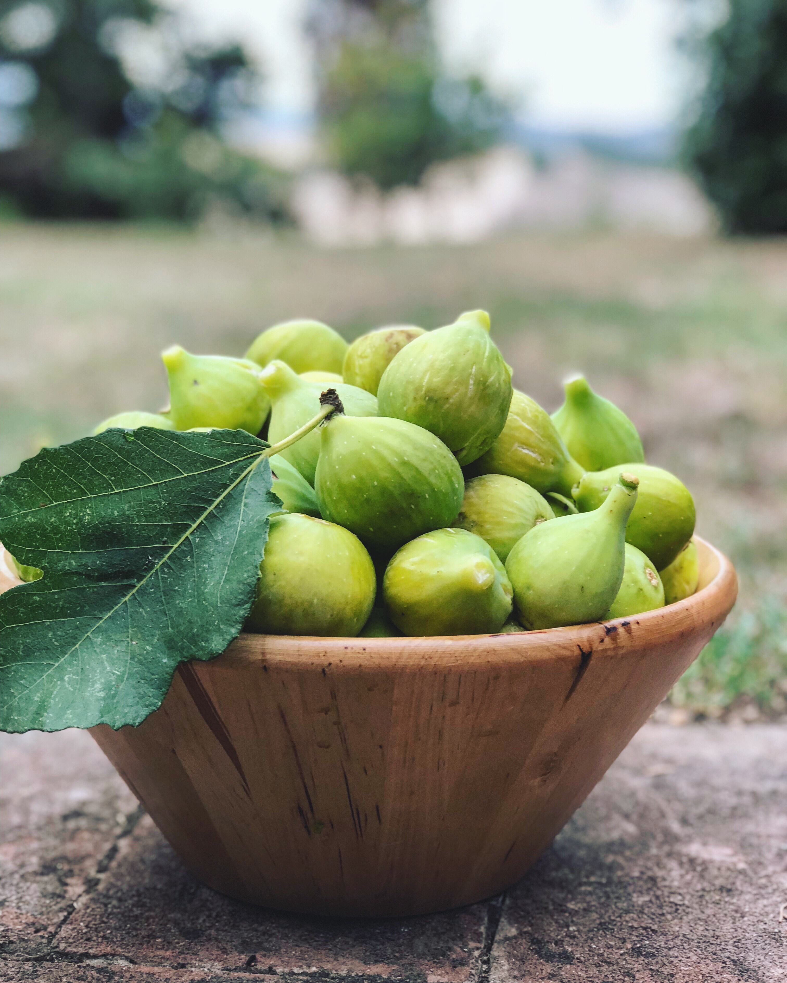 Rustic Toscana figs